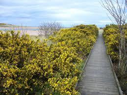Donmouth Local Nature Reserve