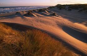 Forvie National Nature Reserve