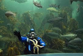 Macduff Marine Aquarium