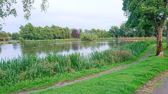 Kay Park