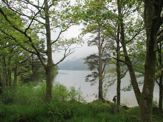 Argyll Forest Park