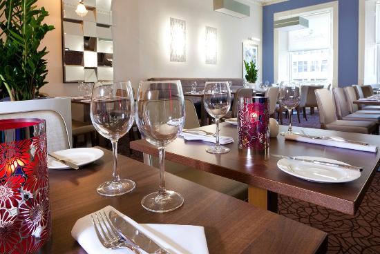 Turquoise Thistle