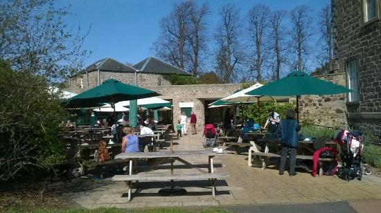 The Terrace Cafe