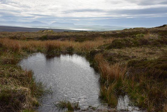 RSPB Birsay Moors