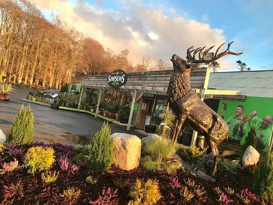 Simpsons Garden Centre