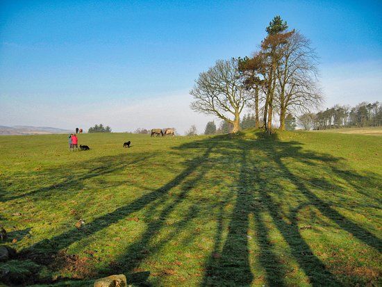 Kilmacolm Meadow