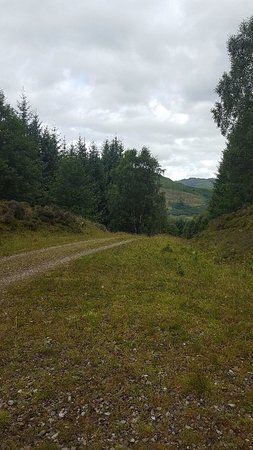 Acharn Forest Walk