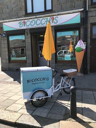 Bicocchis Ice Cream Ltd