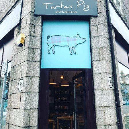 The Tartan Pig