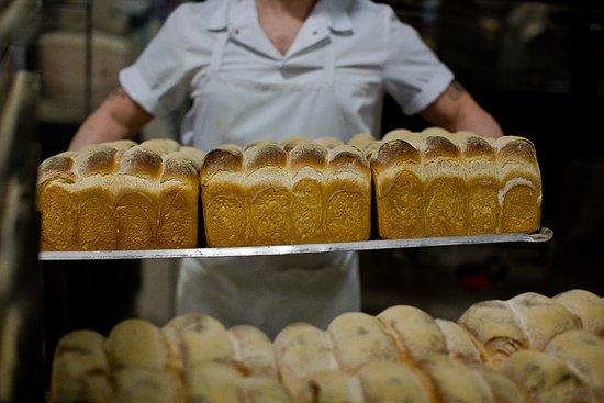 Harry Gow Bakery