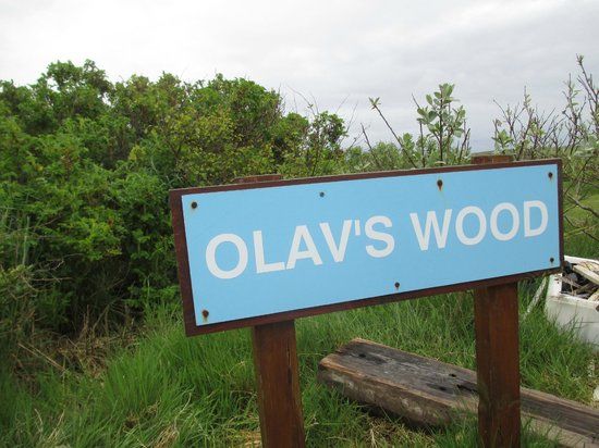 Olav's Wood