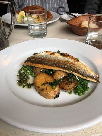 Gandolfi Fish