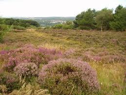 Kincorth Hill