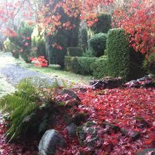 Glencruitten Cathedral of Trees SCIO
