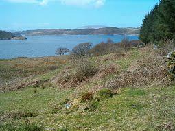 Eilean Mhic Chrion