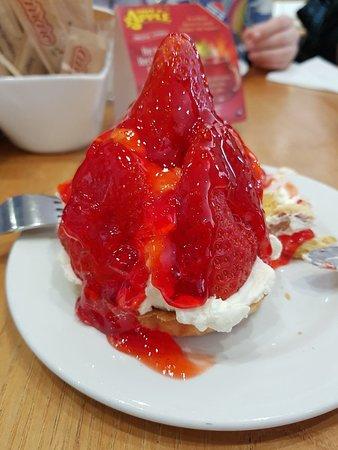 Cafe Renard