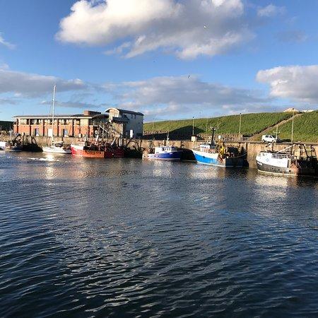 Mackays of Eyemouth