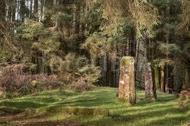 Kilmore Standing Stones