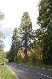 Lael Forest Garden