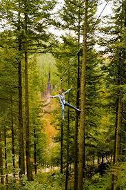 Go Ape Peebles
