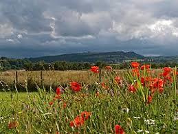 Gillies Hill