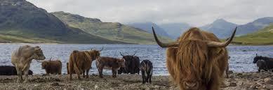 Loch Arklet