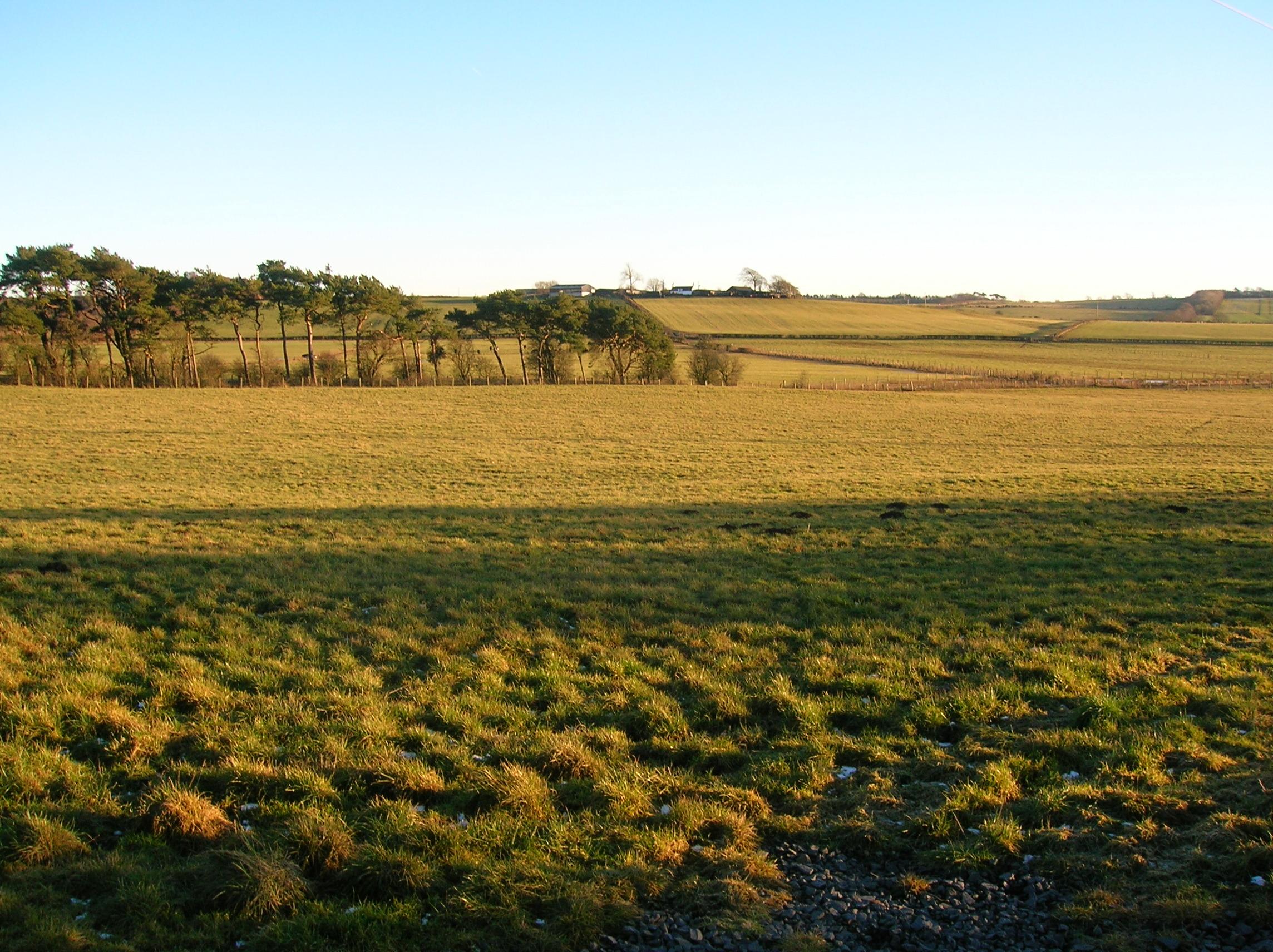 Loch Brown
