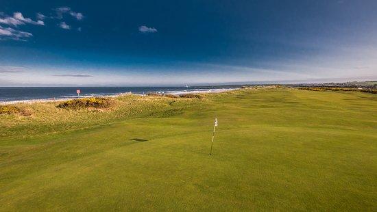 Montrose Golf Links