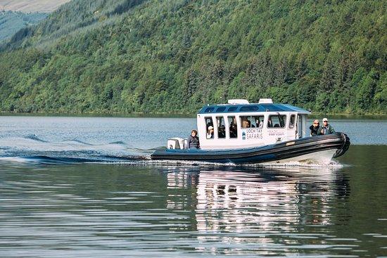 Loch Tay Safaris