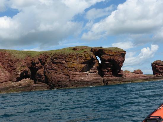 Arbroath Sea Safari