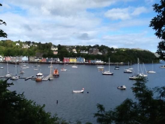 Tobermory Boat Charters