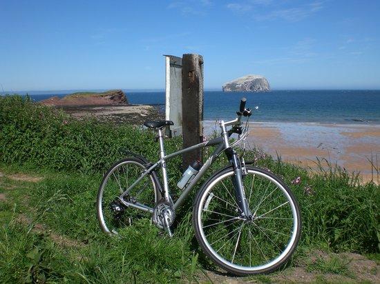 2 Wheel Tours