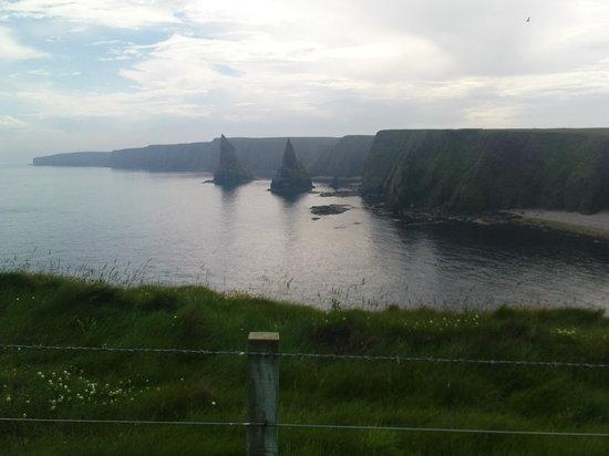 Puffin Express