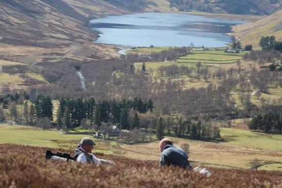 Glen Esk Wild Life Tours