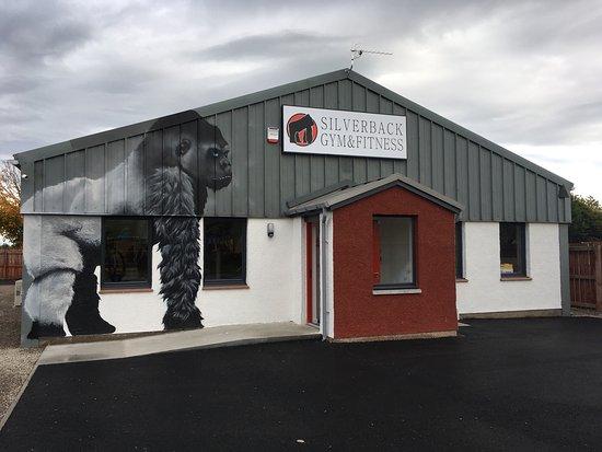 Silverback Gym & Fitness