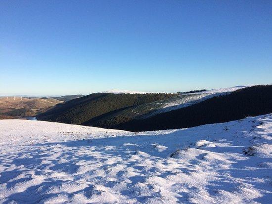 Glen Sherup Circular