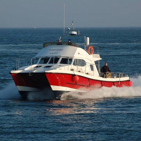 Shetland Wildlife Boat Tours