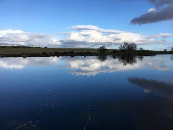 Wellsfield Trout Fishery