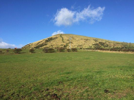 Largo Law