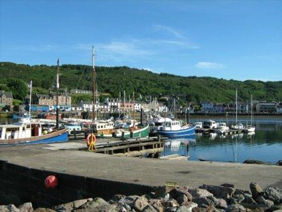 ScotSail