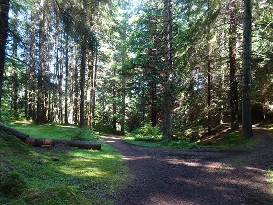 Farigaig Forest