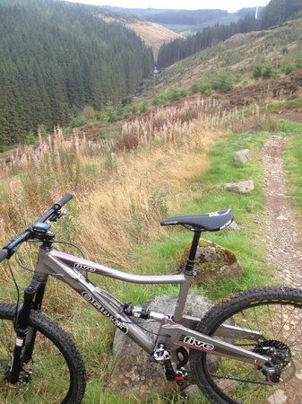 7stanes