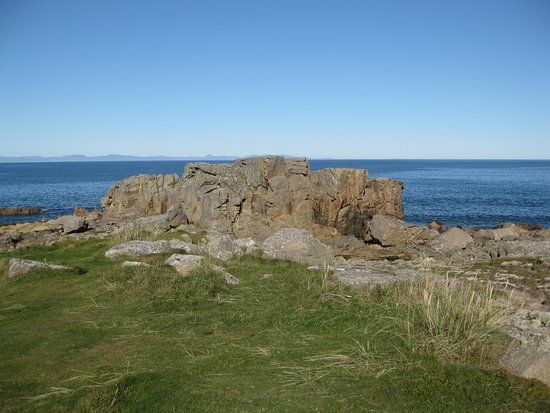 Daisy Rock
