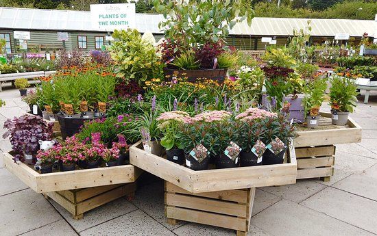 Rouken Glen Garden Centre