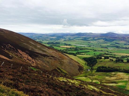 Tinto Hill