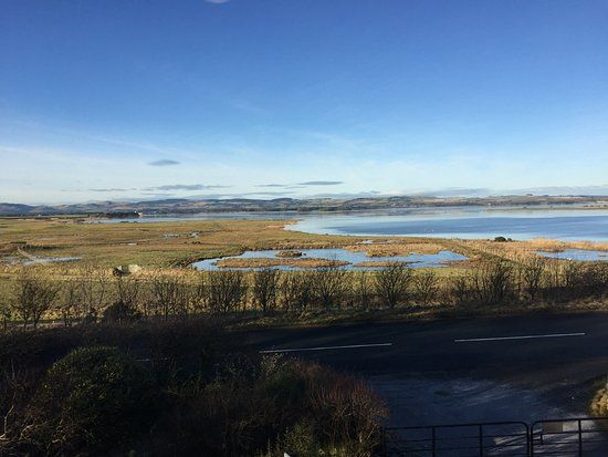 RSPB Scotland Loch Leven
