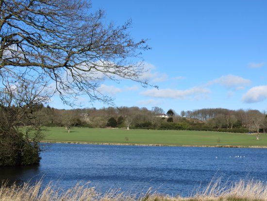 Pitfour Estate