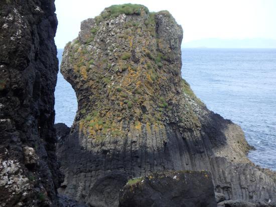 Ardtun Peninsula Leaf Beds