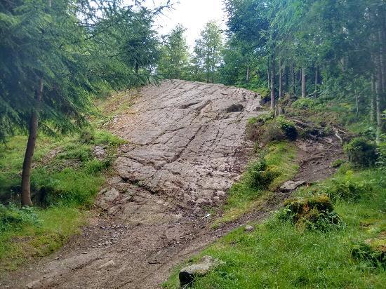 7stanes