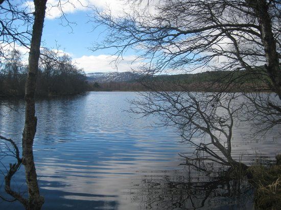 Muir of Dinnet